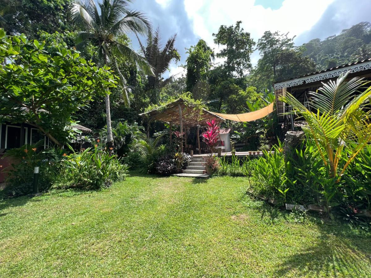 1511 Coconut Grove Kampong Juara Exterior foto