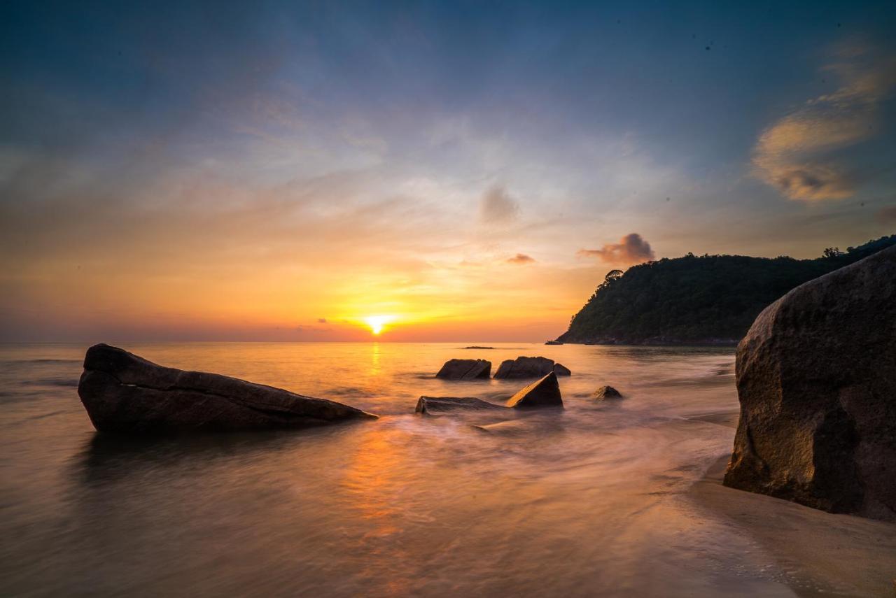 1511 Coconut Grove Kampong Juara Exterior foto